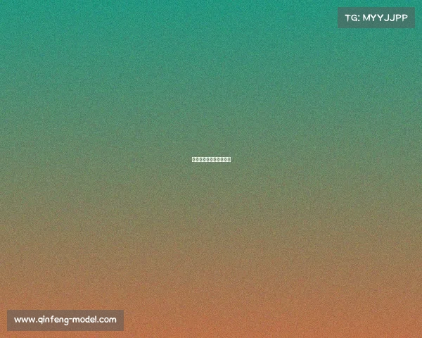 漯河赛车的地方具体位置