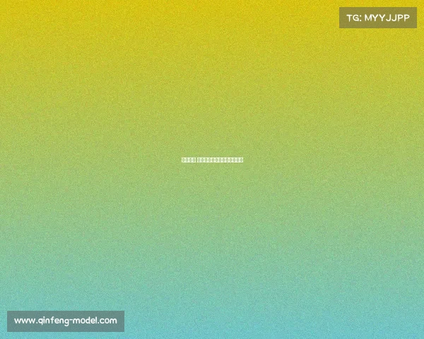 塞阿拉队 塞阿拉足球赛事激情开幕盛典