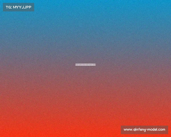 真武魂赛事归属深度解析与探讨 真武魂赛事归属深度解析与探讨