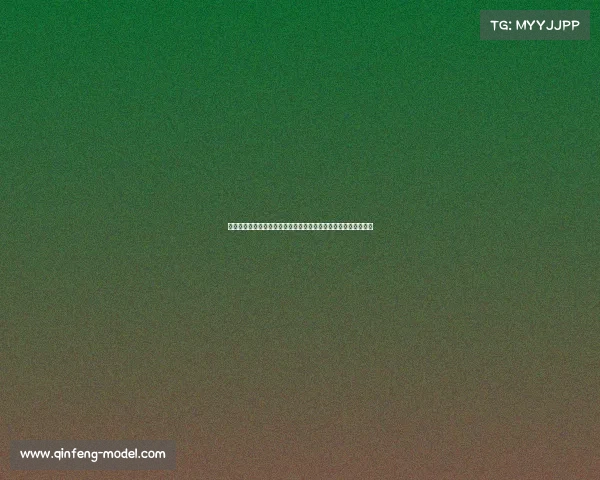 河南省篮球风云再起二零二四年全省锦标赛激情开赛精英云集郑州 河南省篮球风云再起二零二四年全省锦标赛激情开赛精英云集郑州